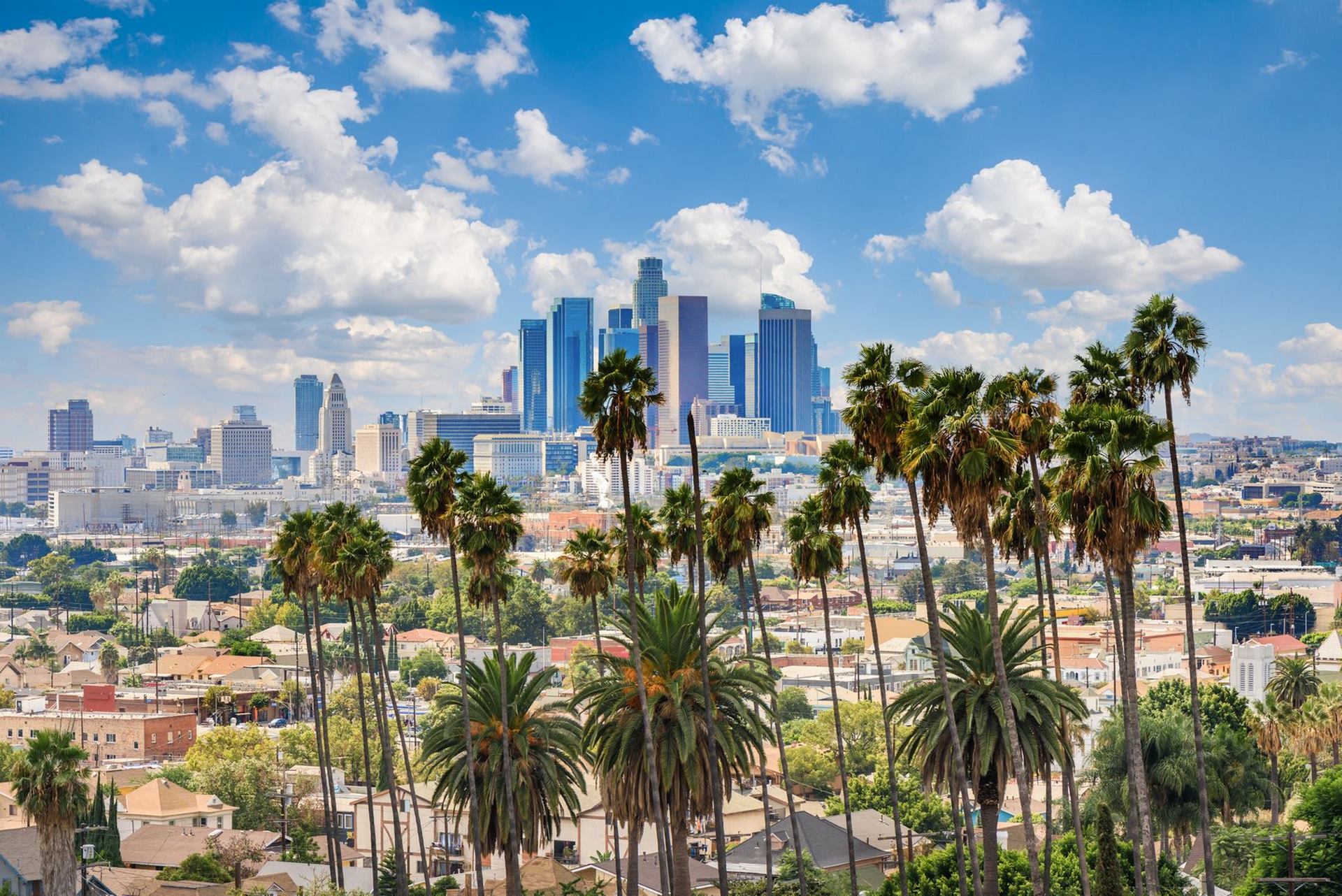 Beautiful cloudy day of Los Angeles downtown skyline and palm trees in foreground